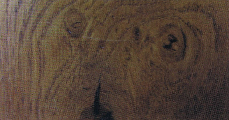 Bestand:Eikenhout.jpg