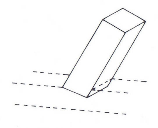 Bestand:Hiel of hak.jpg