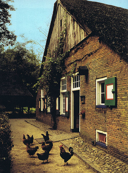 Bestand:Houten topgevel.jpg