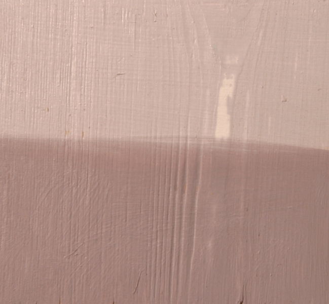 Bestand:Appelbloesem 2.jpg