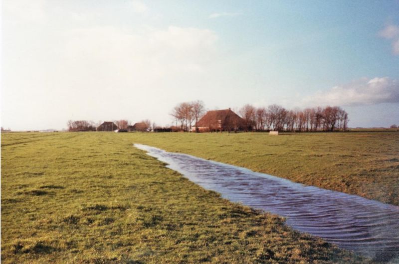 Bestand:Leie1-b.jpg